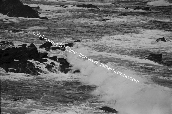 WILD COASTAL SCENES ON ATLANTIC DRIVE